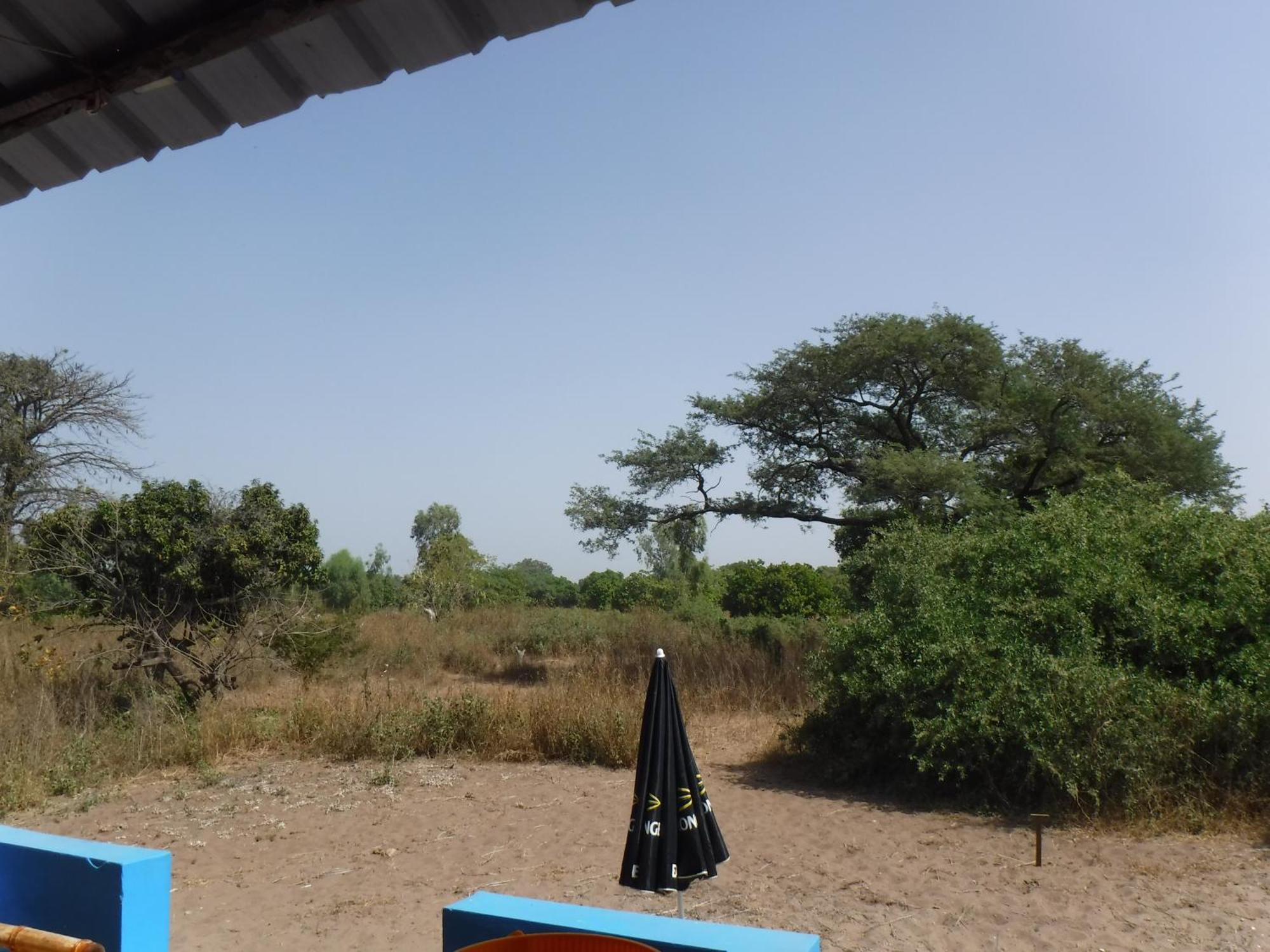 Jinack Lodge Jinack Island Exterior foto